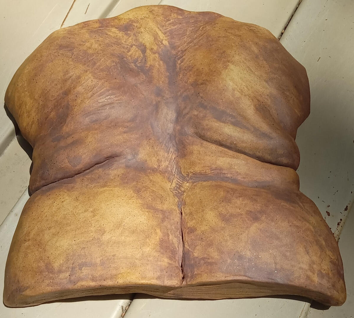 Her back Bas relief sculpture of a queer woman's shoulders, back and hips with ample skin folds by Shane Brodie. Surface has a subtle texture emphasized by application of reddish-brown iron oxide and yellow rutile.